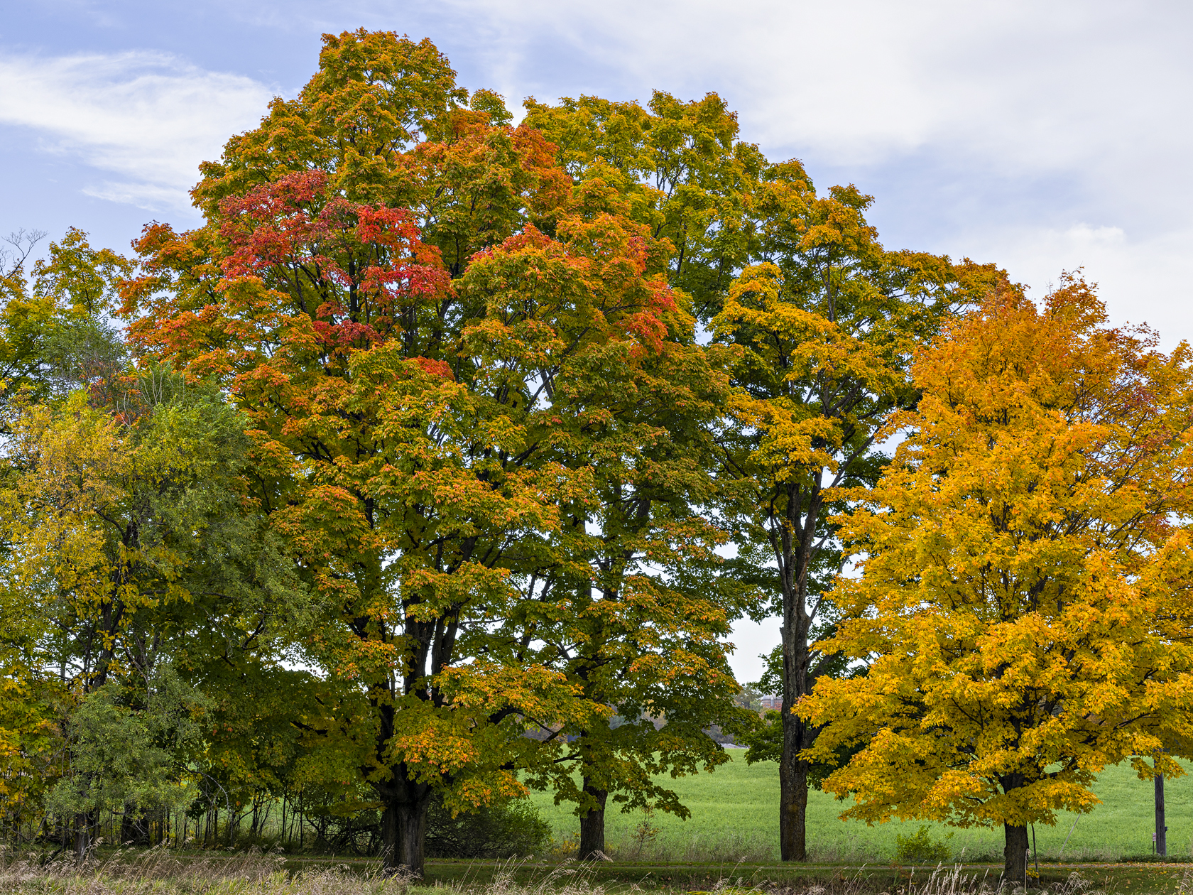 Turning Up the Volume