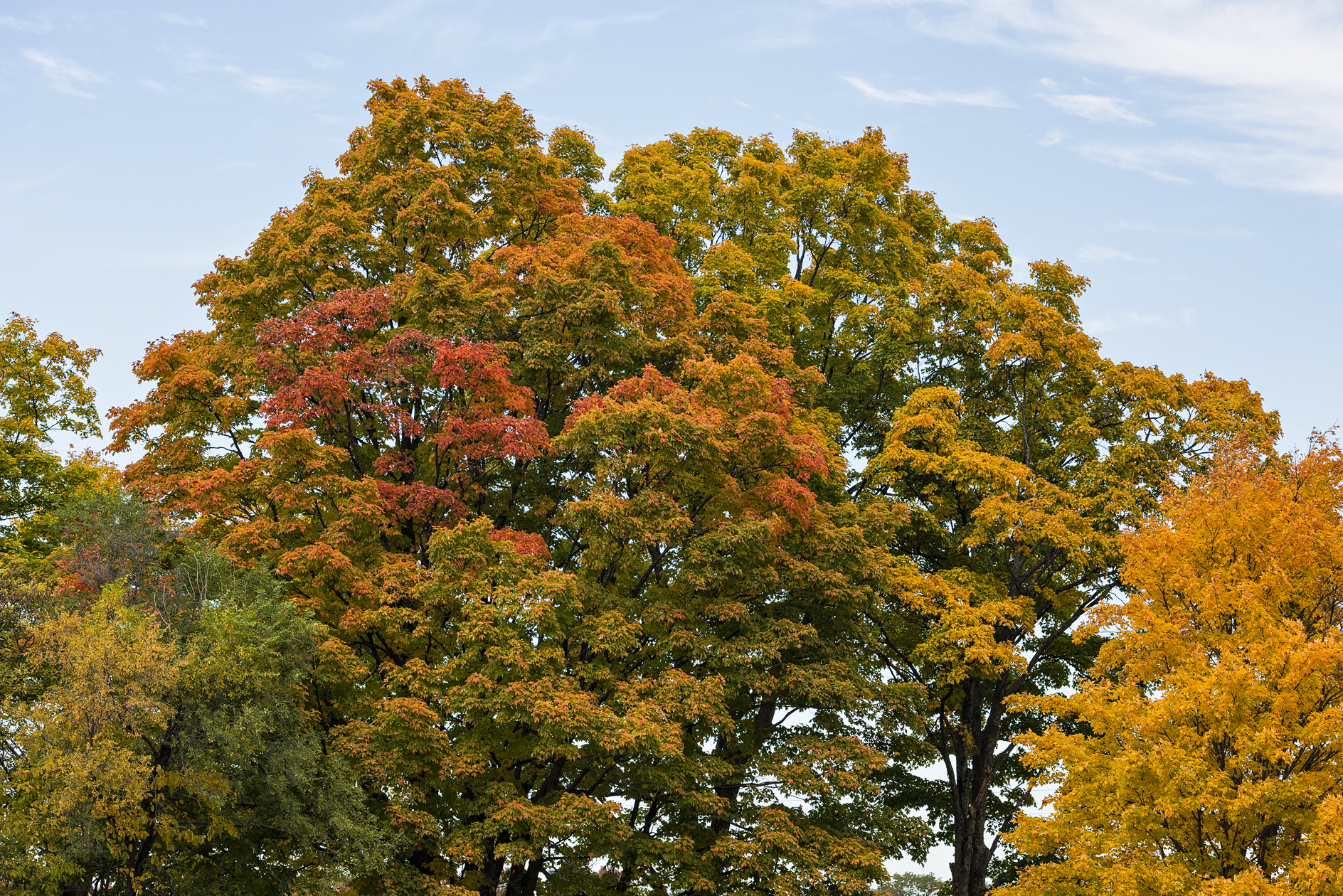 Turning Up the Volume II