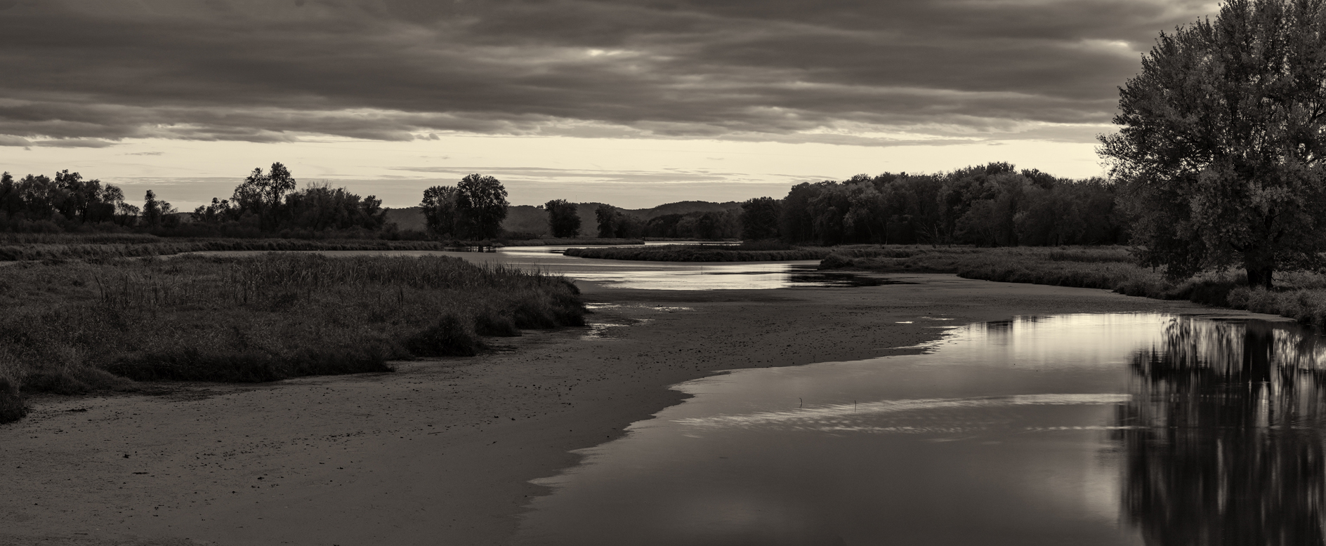 Twilight on the Slough IV