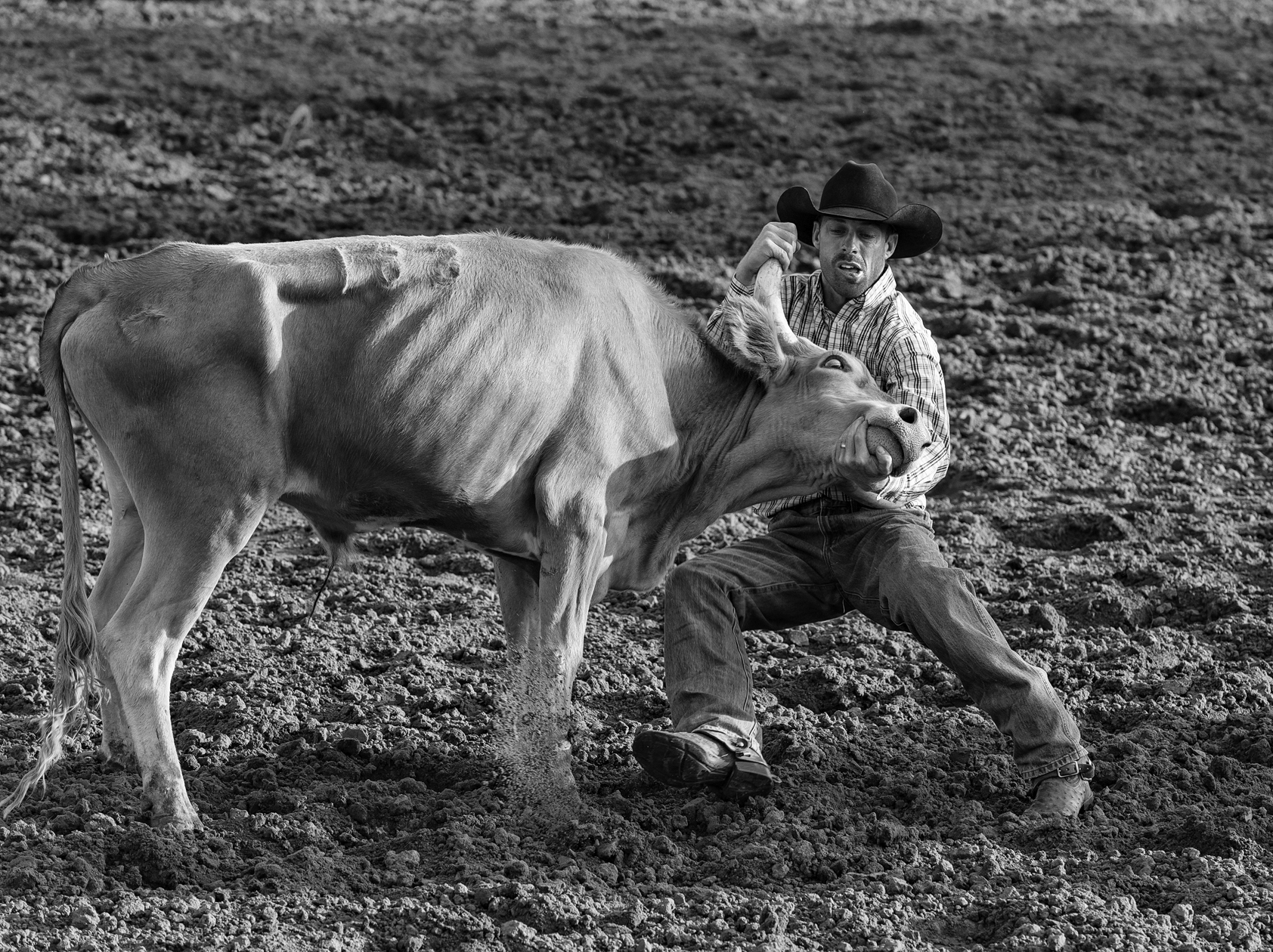 Uncompromising Position