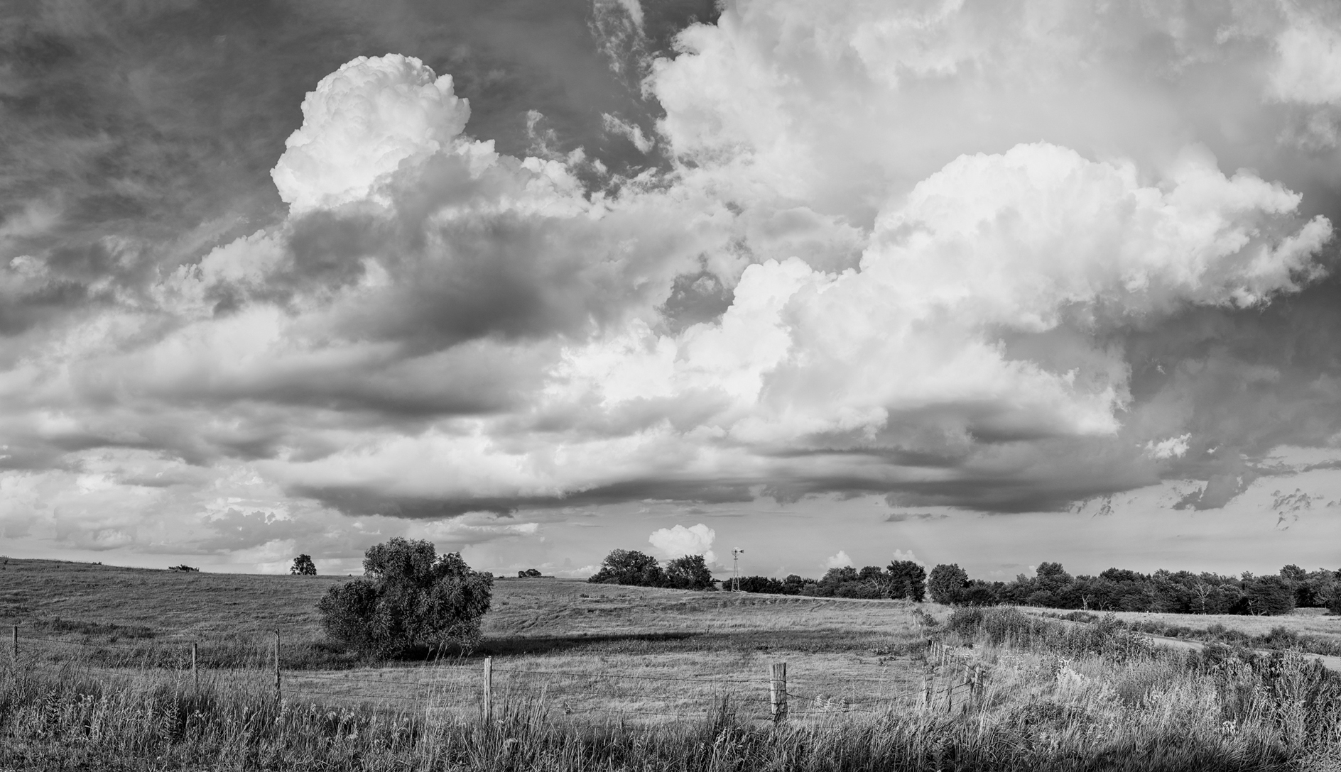 Under a Blustery Sky