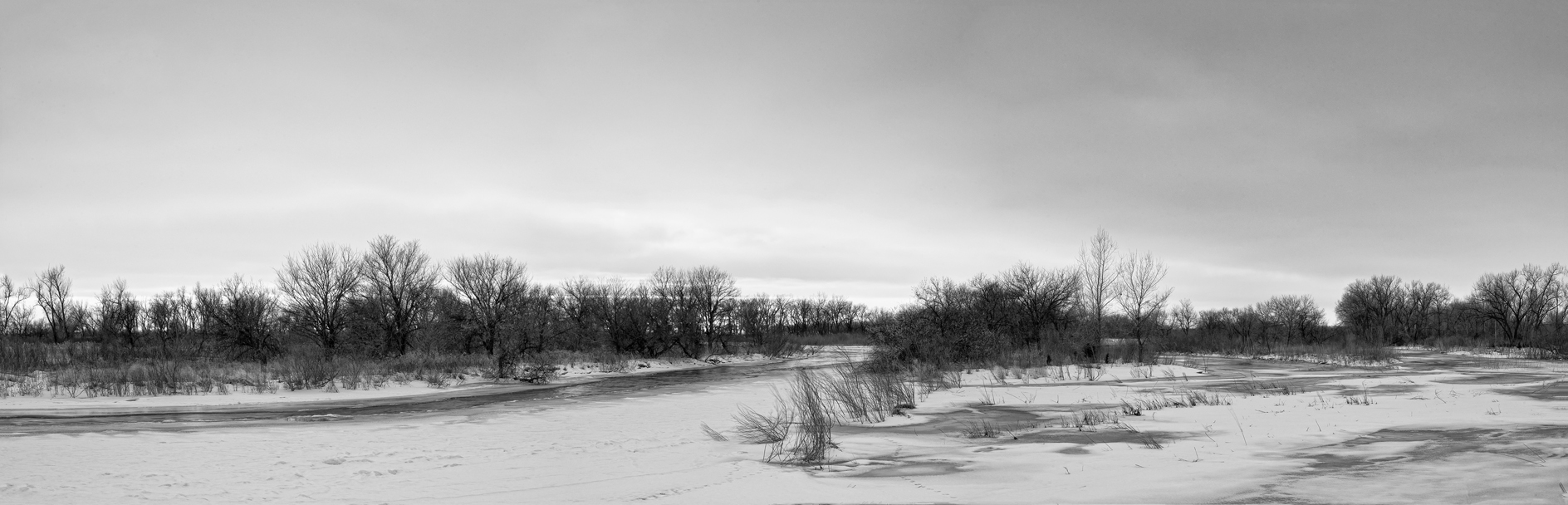 Under a Harsh North Wind