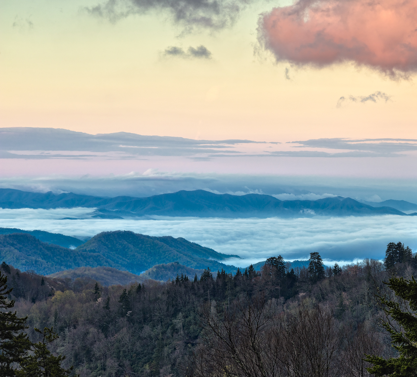 Under a Pink Umbrella II