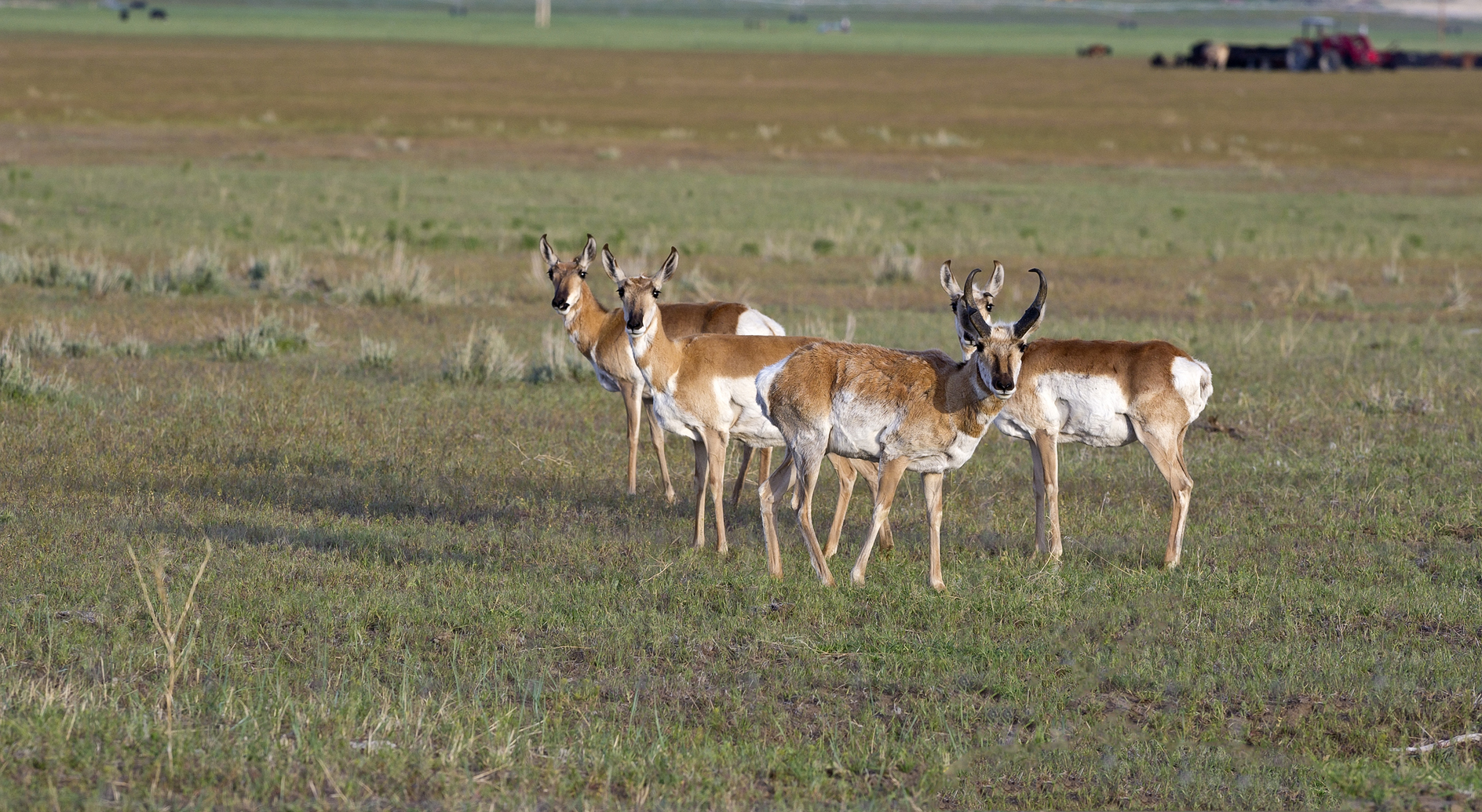 Under Intense Scrutiny