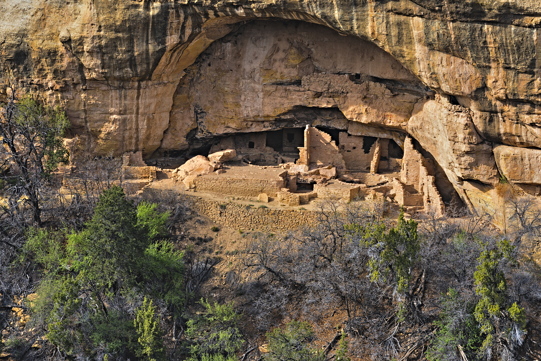 Under the Weeping Rock