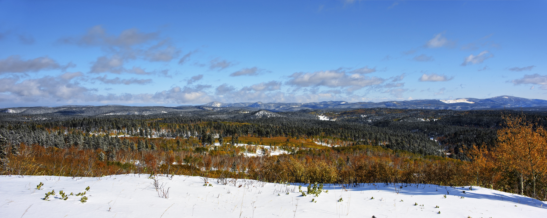 Uneven Playing Field