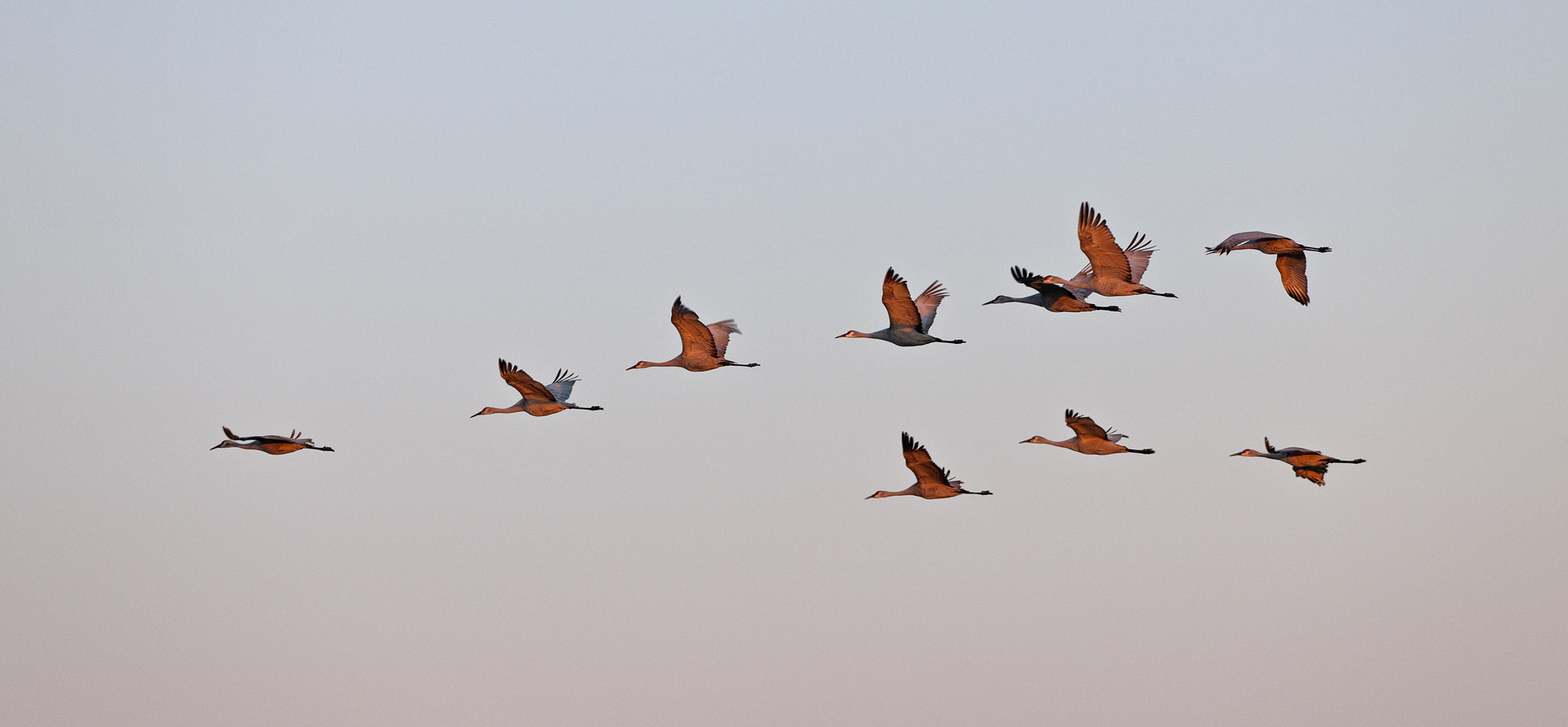 Up at the Crack of Dawn