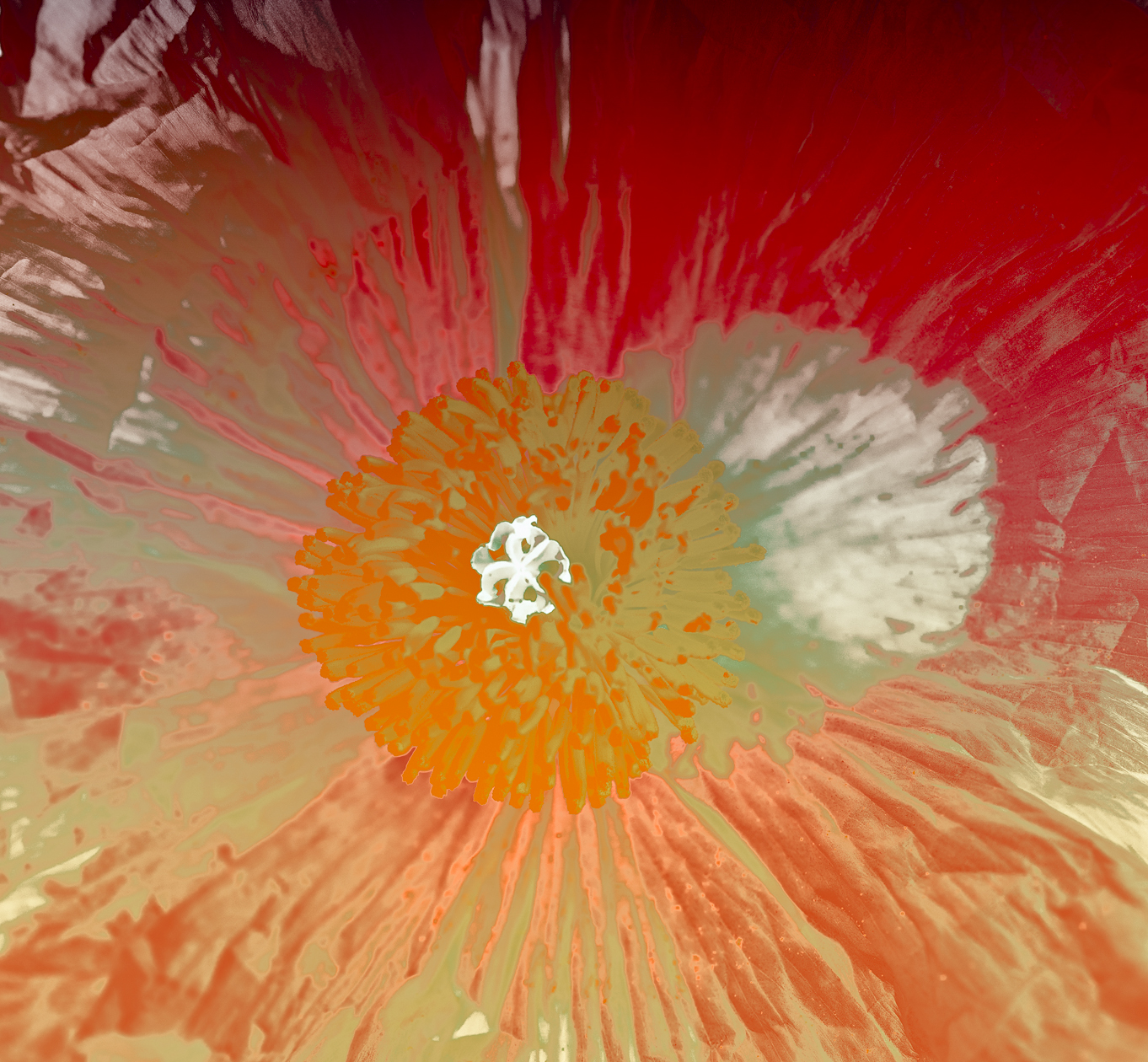 Up Close and Personal