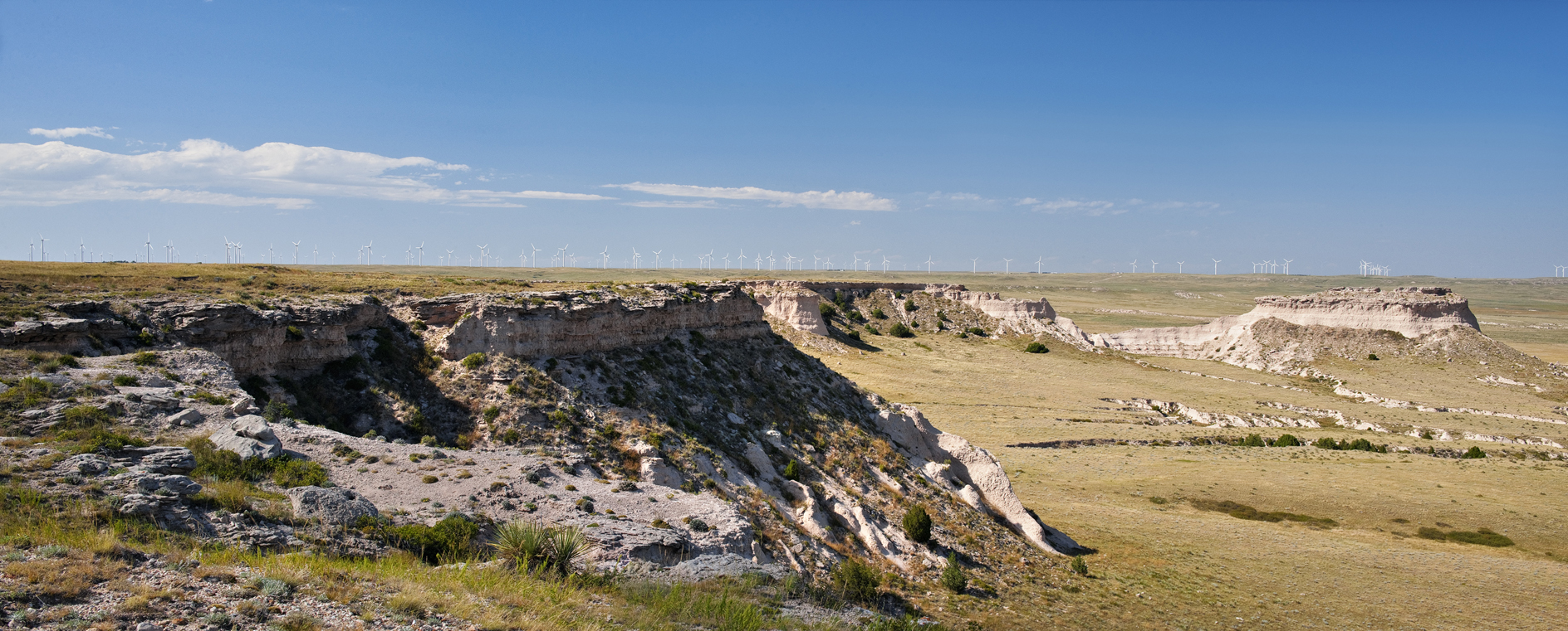 Vanishing Landscapes