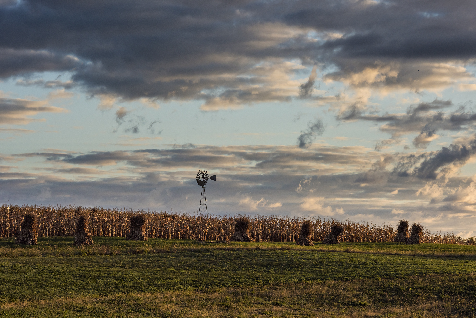 Vernon County Morning