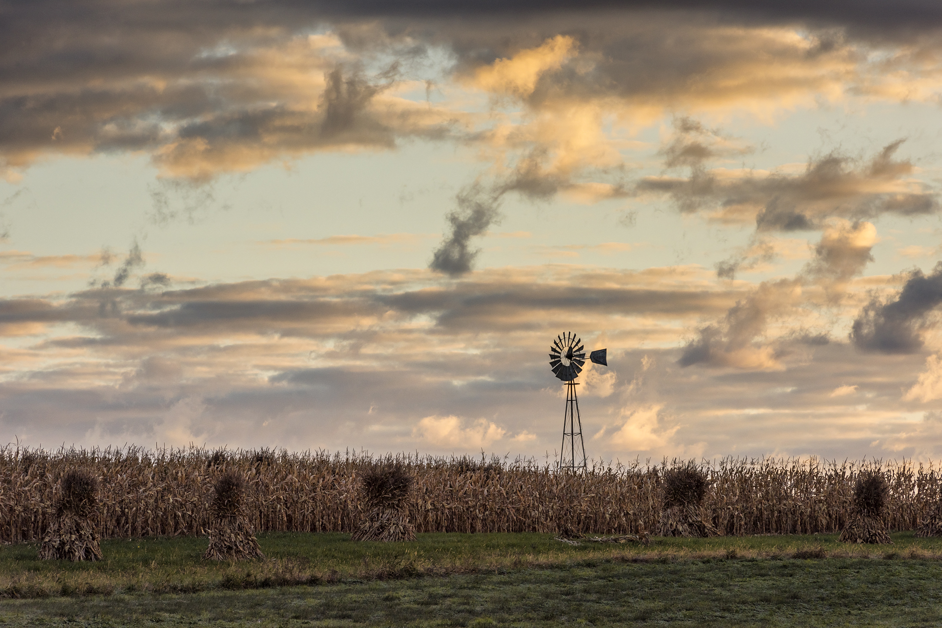 Vernon County Morning II