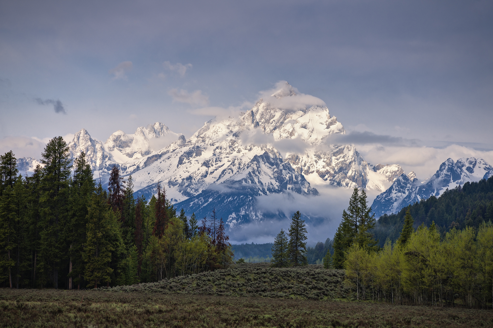 View from Pacific Creek