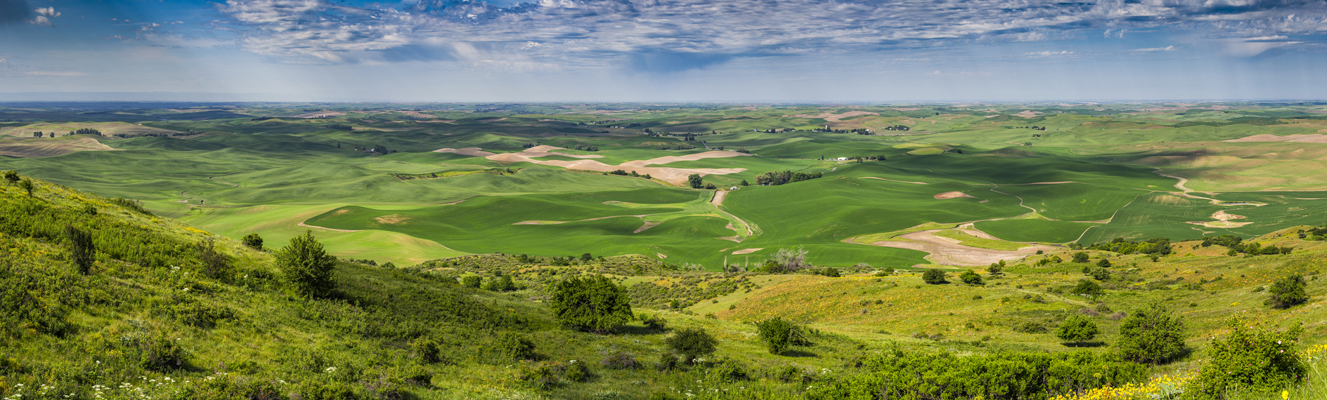 View from Steptoe Butte