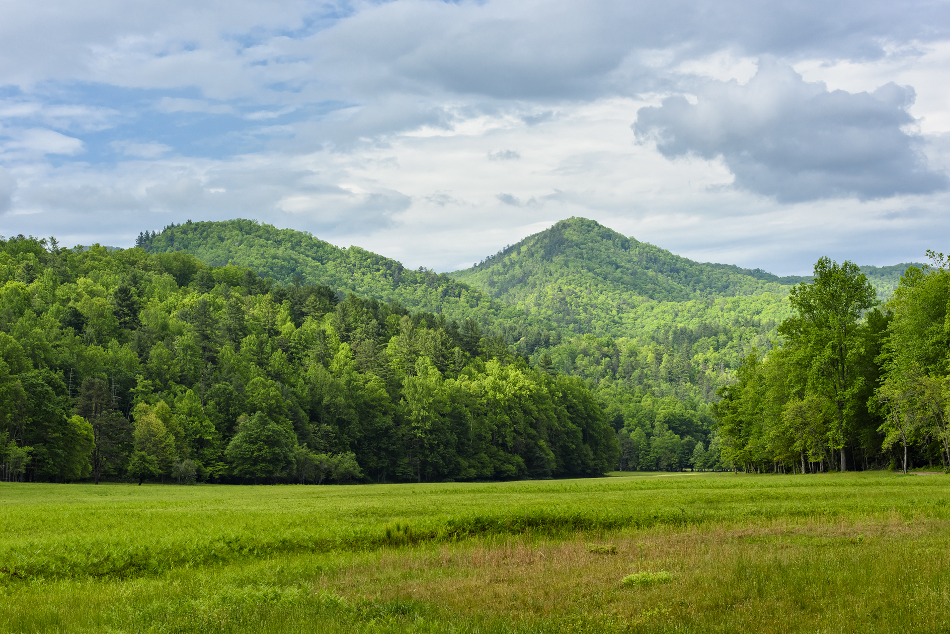 View from the Meadow