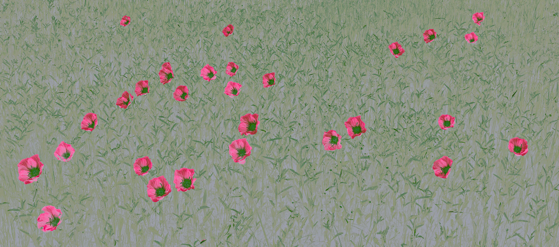 Voices in the Pasture