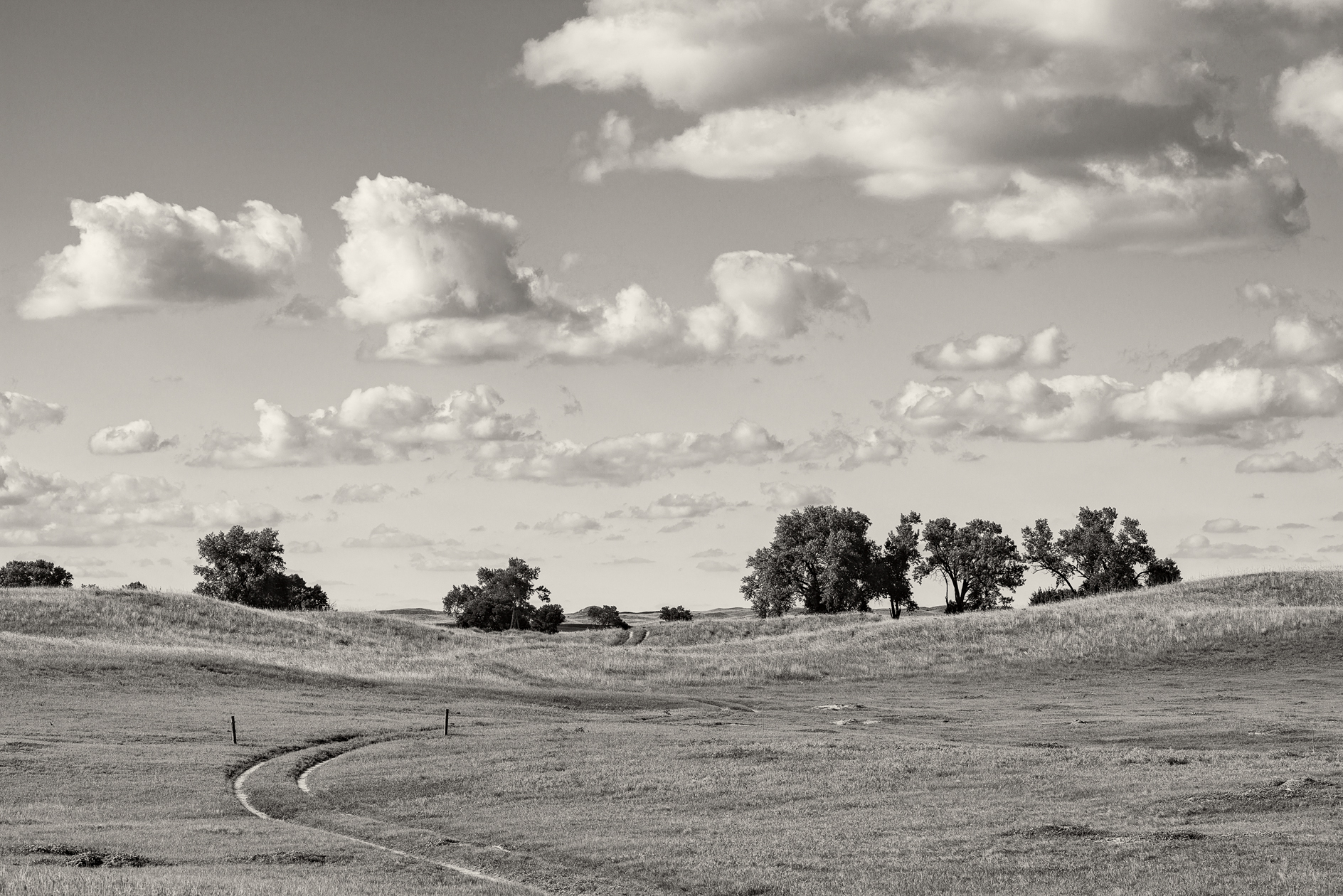 Wagonhammer Afternoon