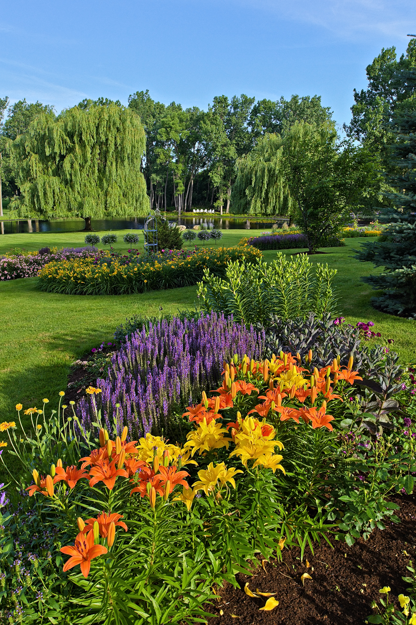 Waiting for Elizabeth