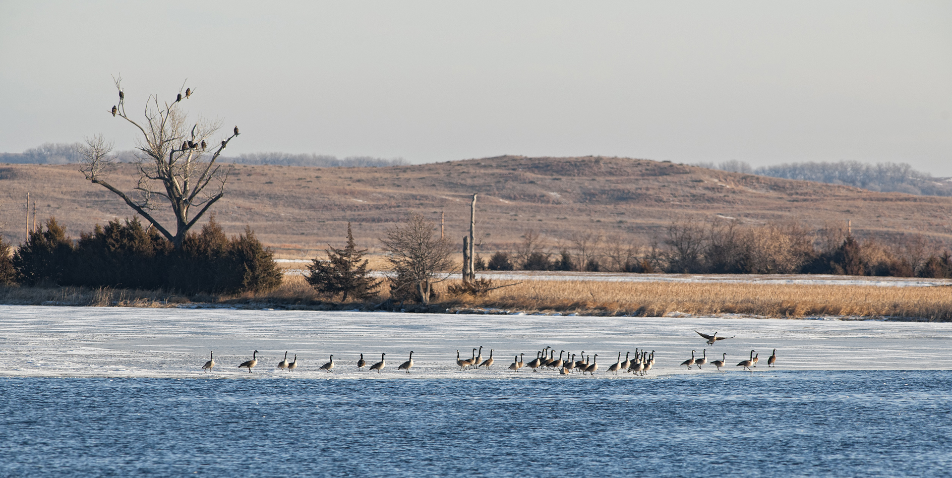 Waiting for the Bell