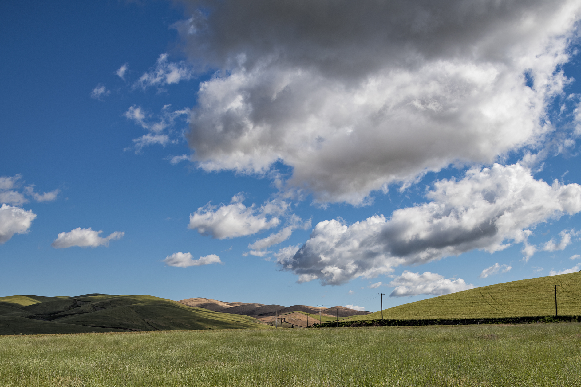 Walla Walla County Morning II