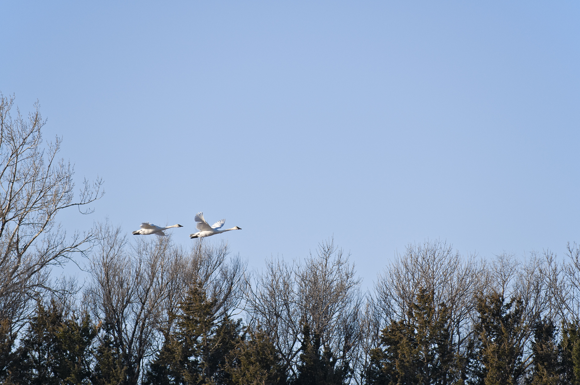 Waltzing Along the Loup