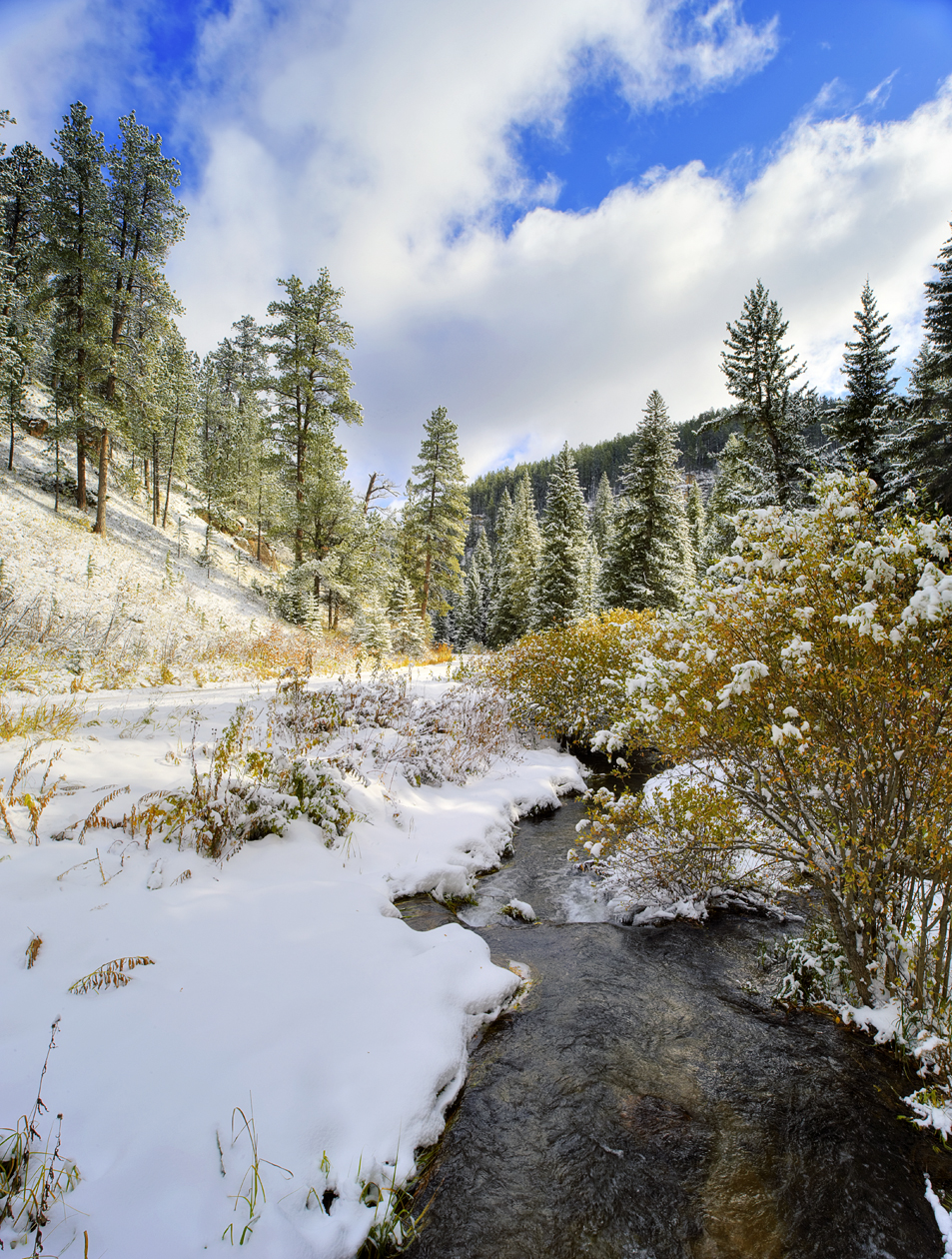 Wandering Out of Sight