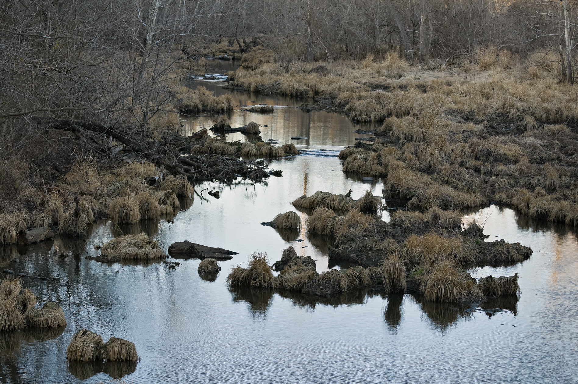 Wandering through Chickasaw
