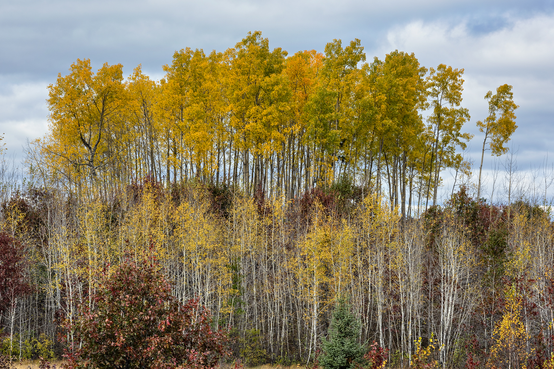 Washburn County Afternoon