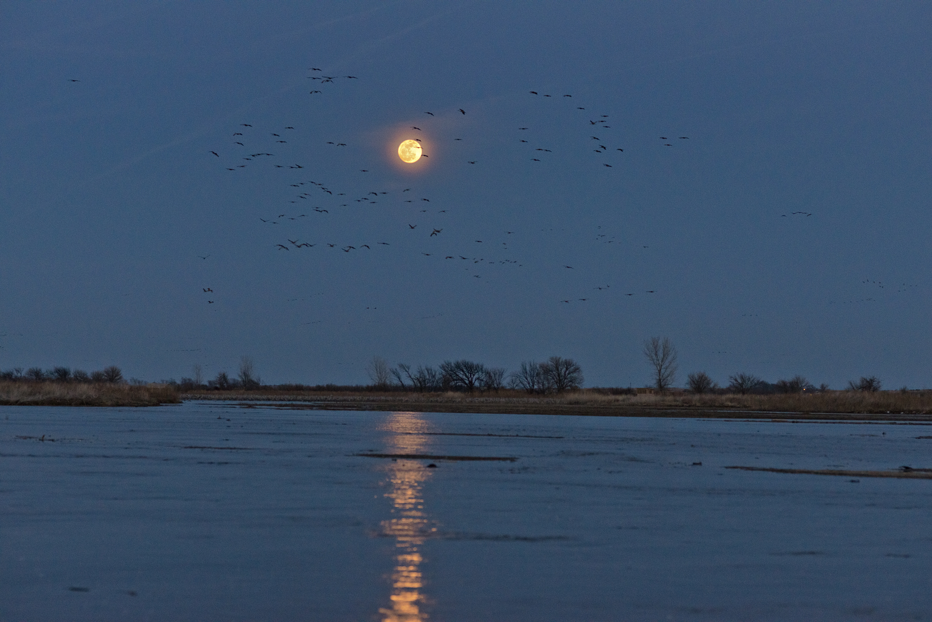 Watching the Late Show