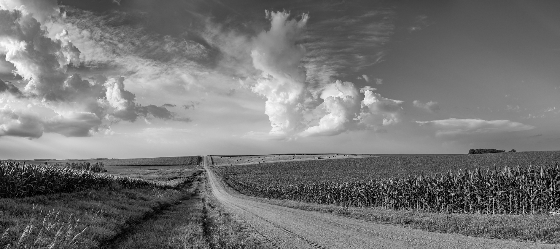 Wayne County Evening IV