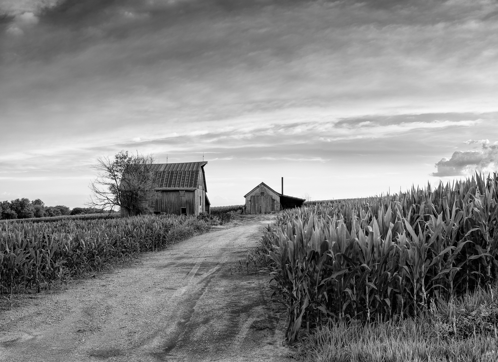 Weathered Exteriors II