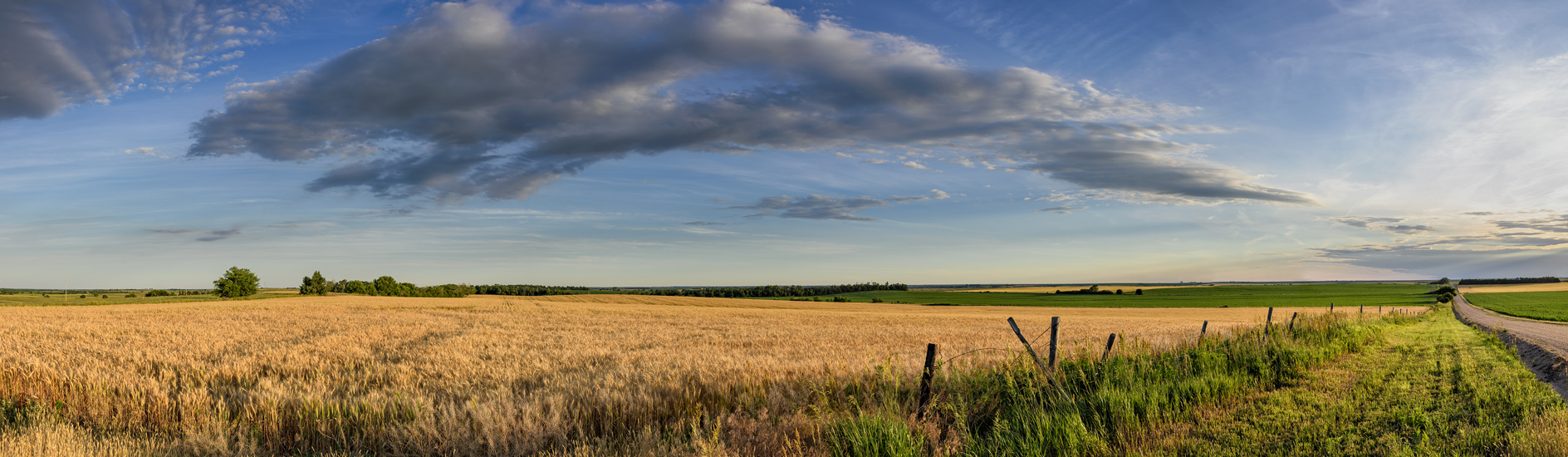 Webster County Evening II