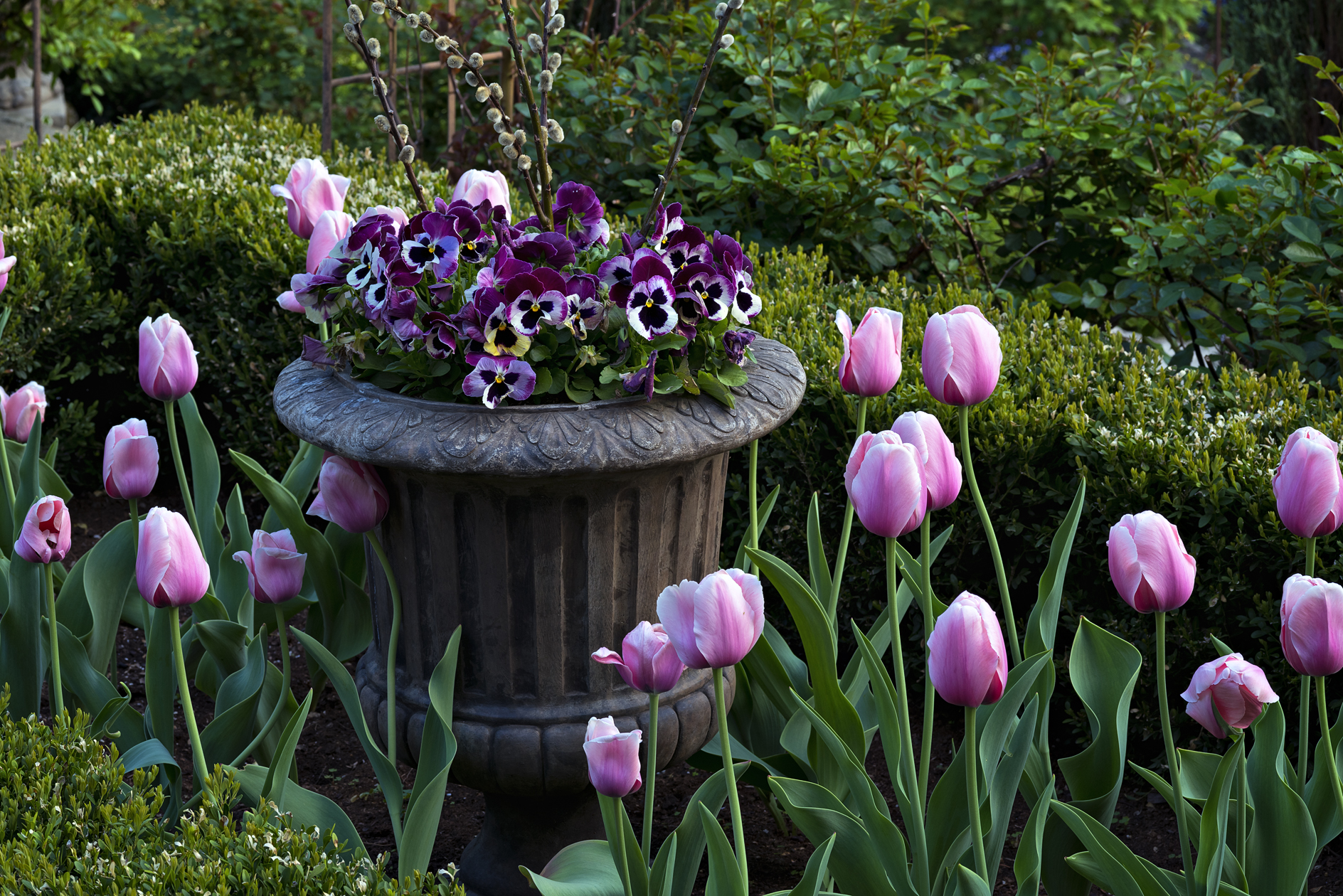 Well Contained Enthusiasm