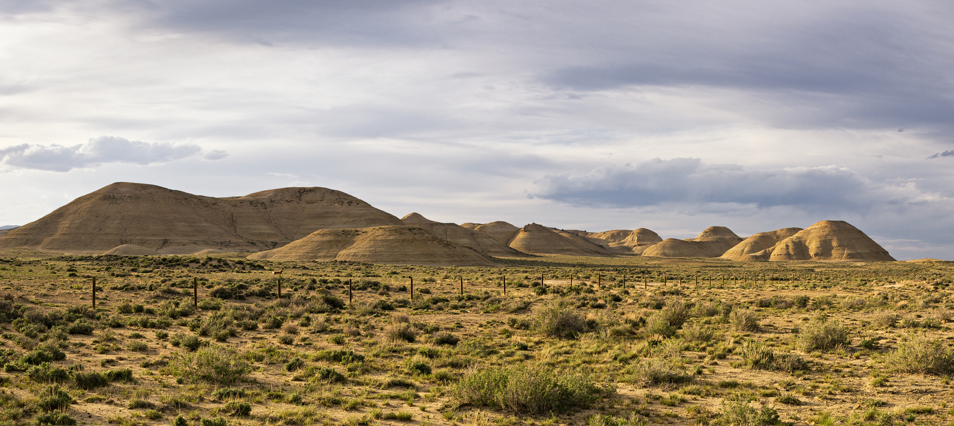 Well Rounded Characters