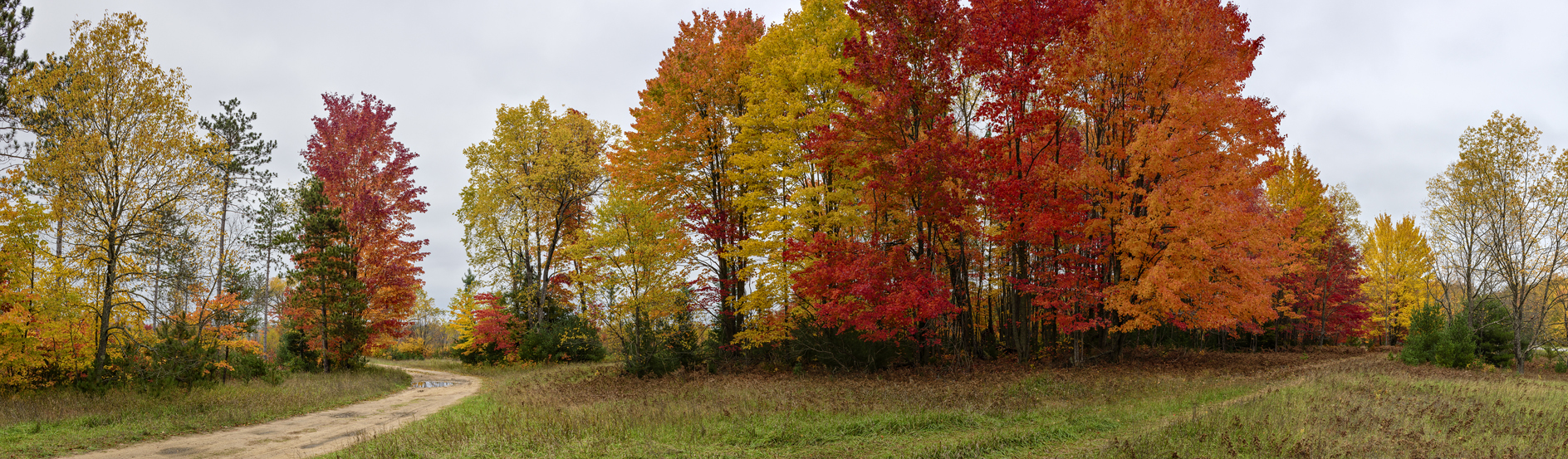 Wexford County Afternoon