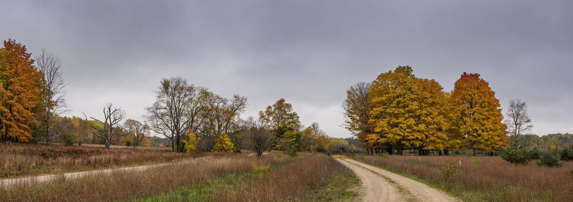Wexford County Morning