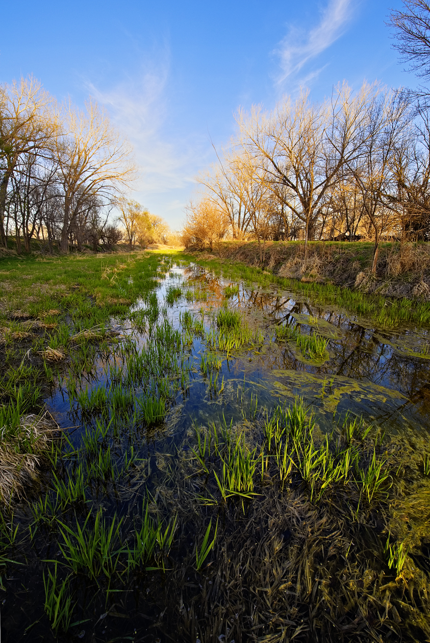 Where the Grass is Greener