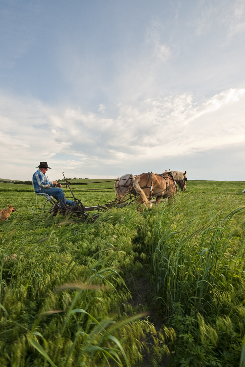 While the Sun Shines