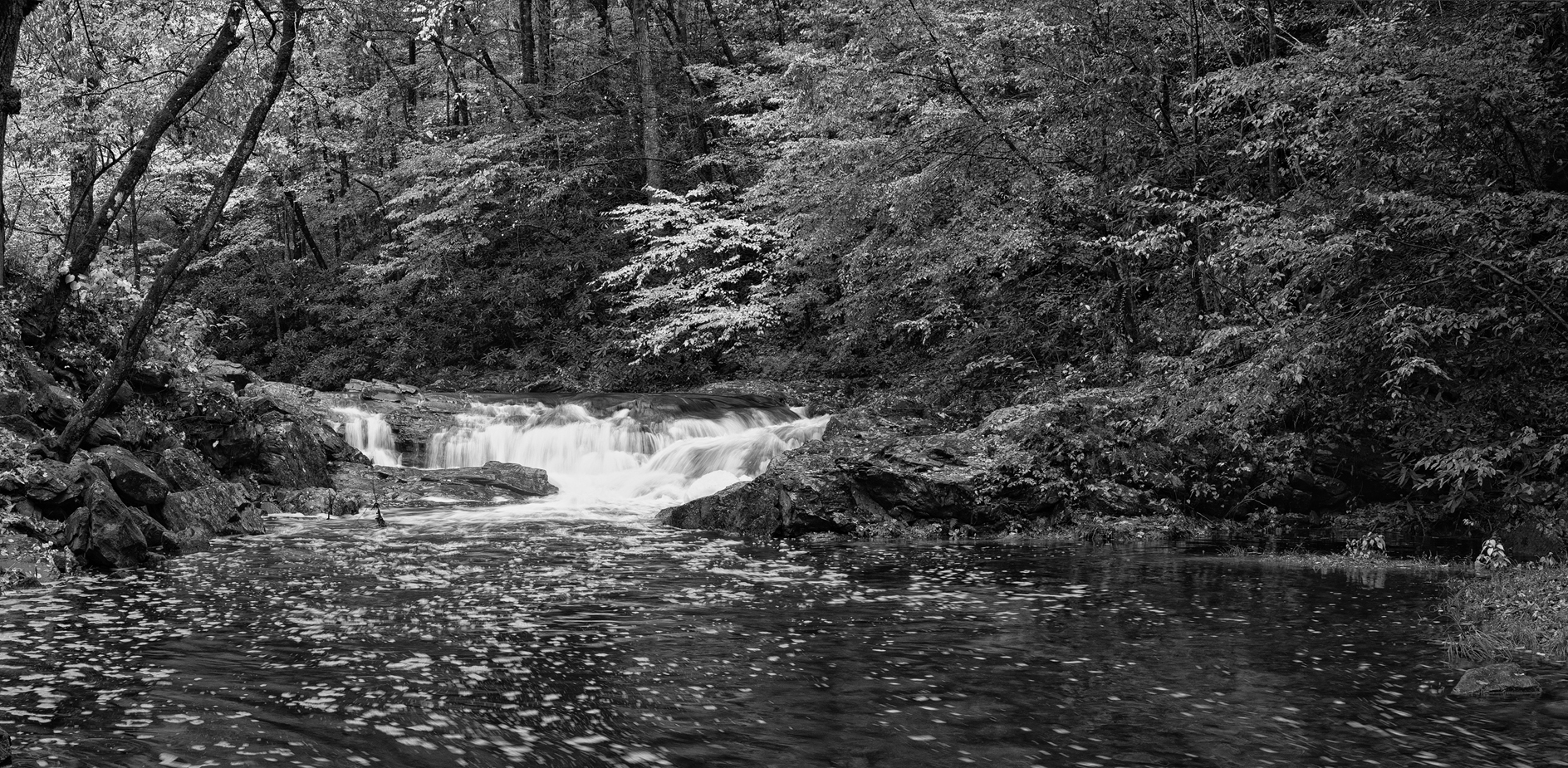 Whitewashing the Story