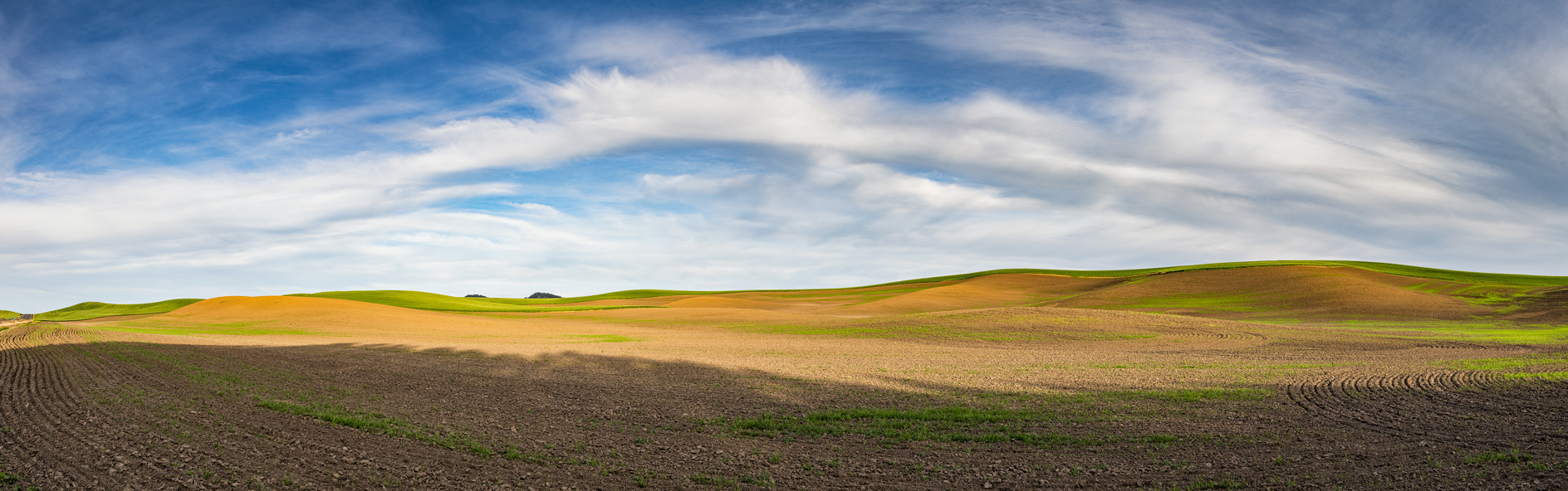 Whitman County Afternoon