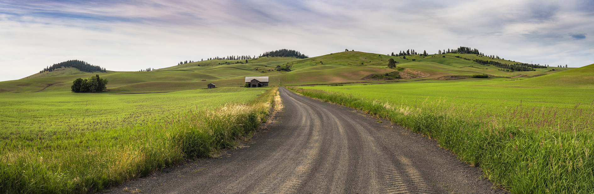 Whitman County Evening II