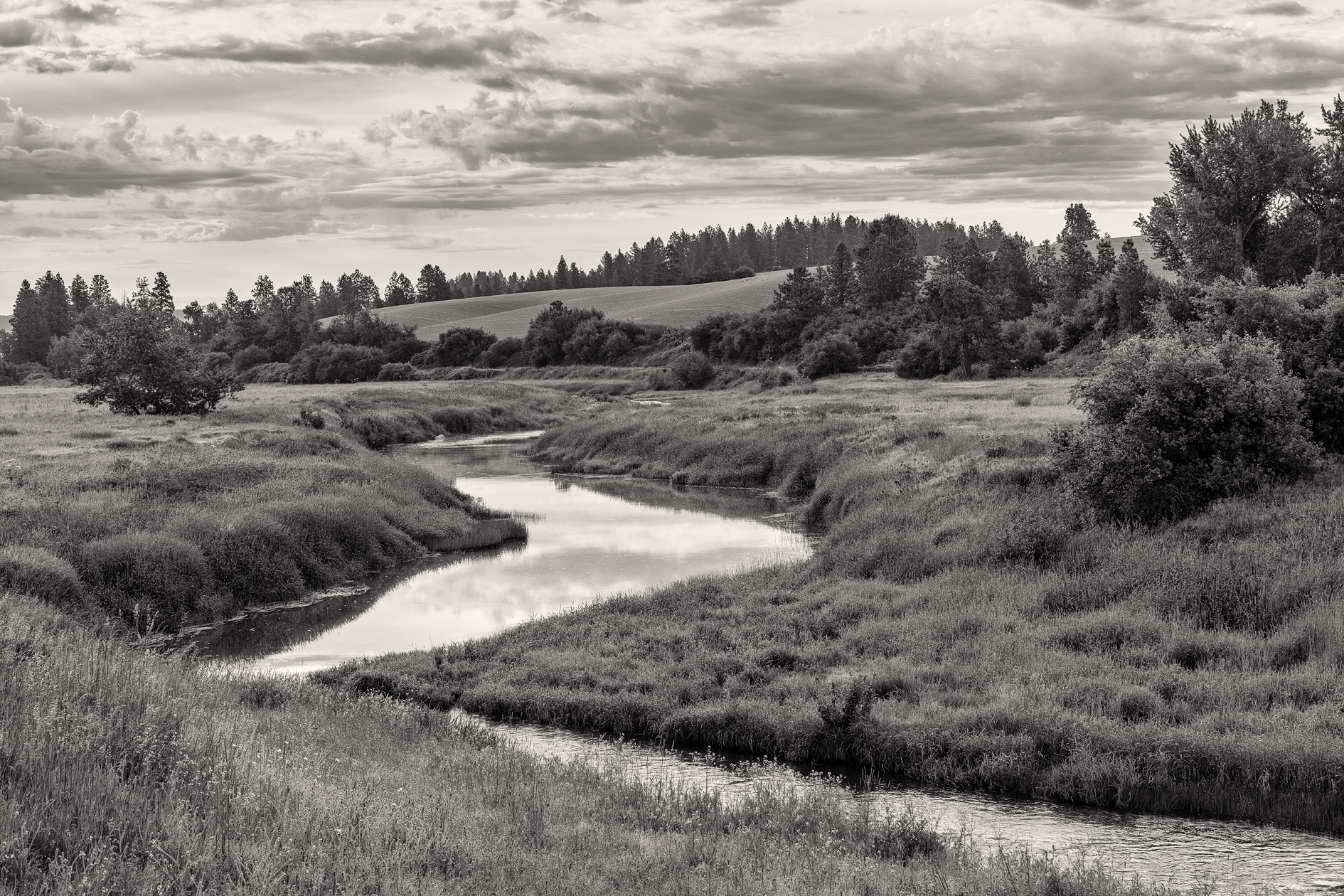 Winding through the Palouse