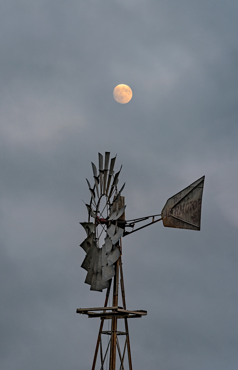 Windmill Moon
