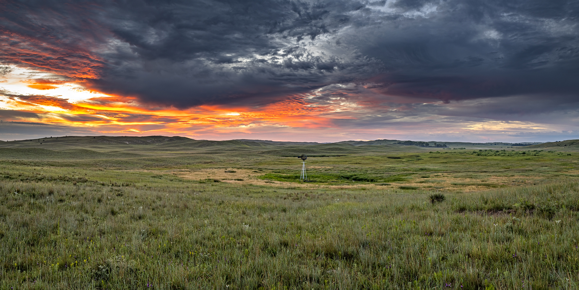 Windmill Morning III