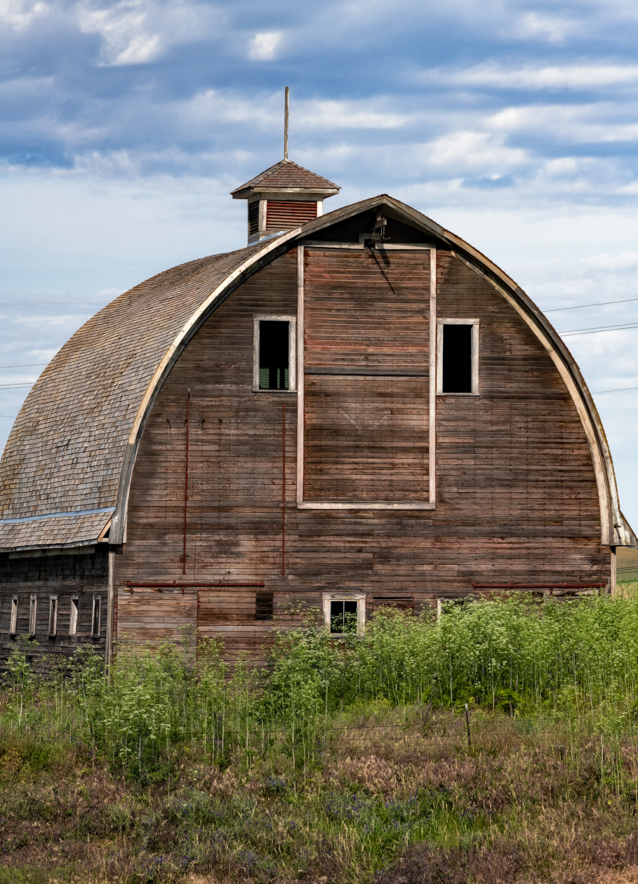 Windows to the Past II