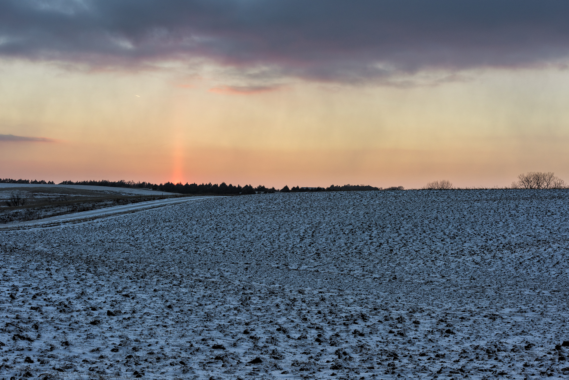 Winter Field II