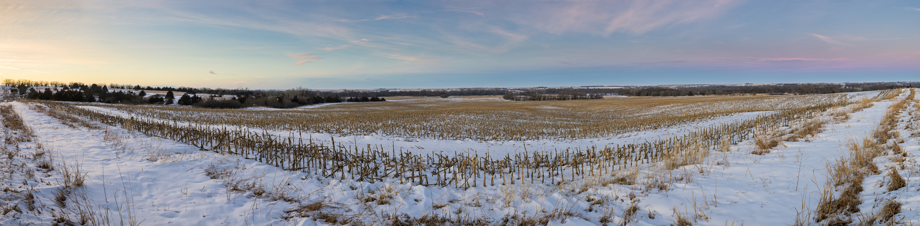 Winter in the Field II