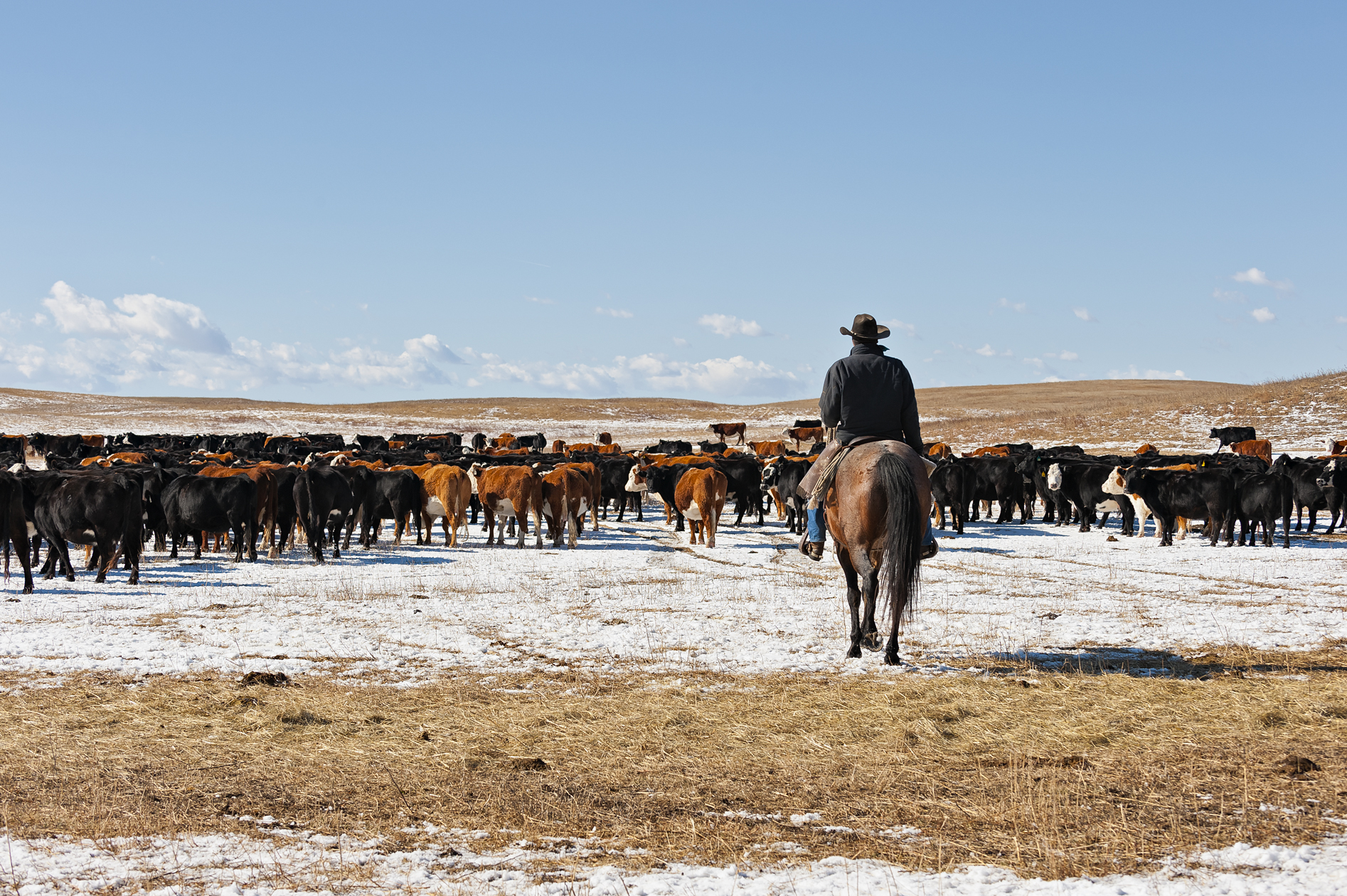Winter in the Saddle
