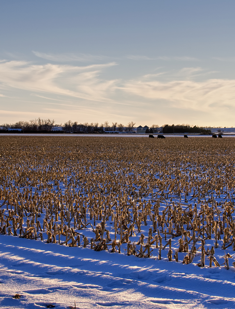Winter in the Valley