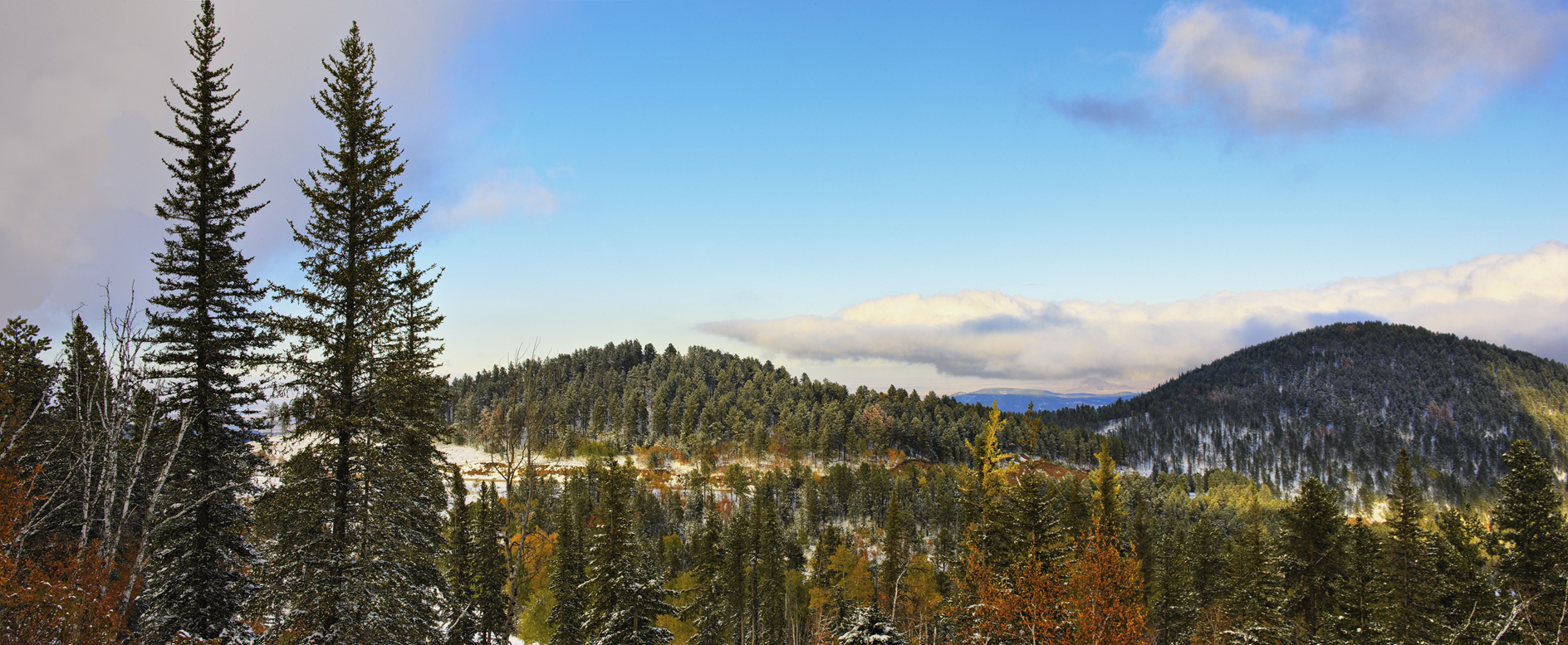 Winter is Always Early