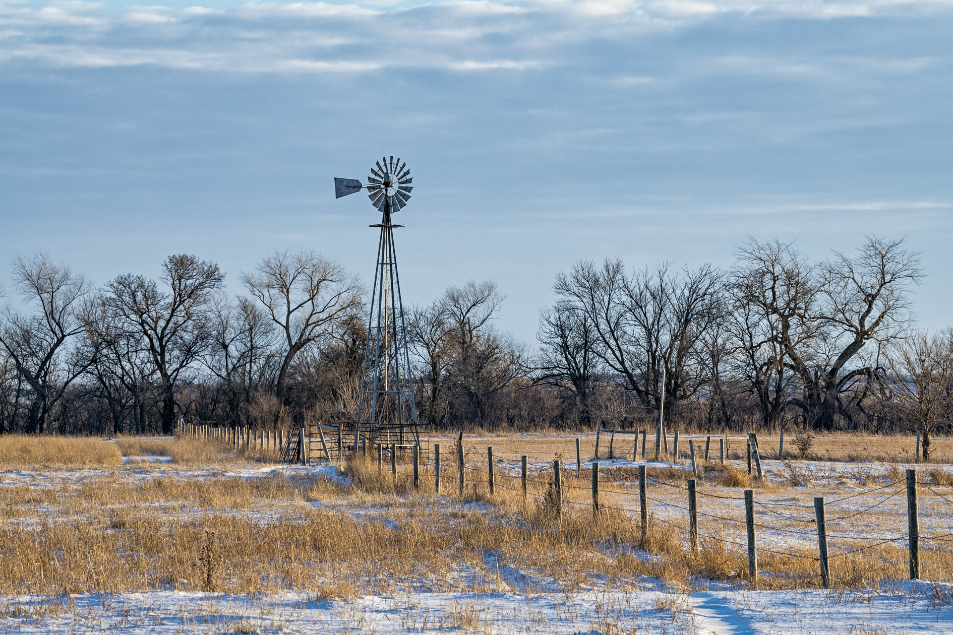 Winter on Shoemaker Island